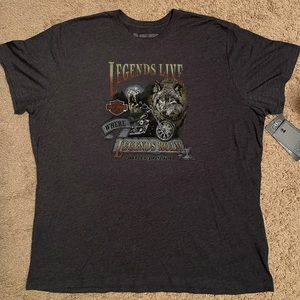 Harley Davidson Unisex Plus Size Tee